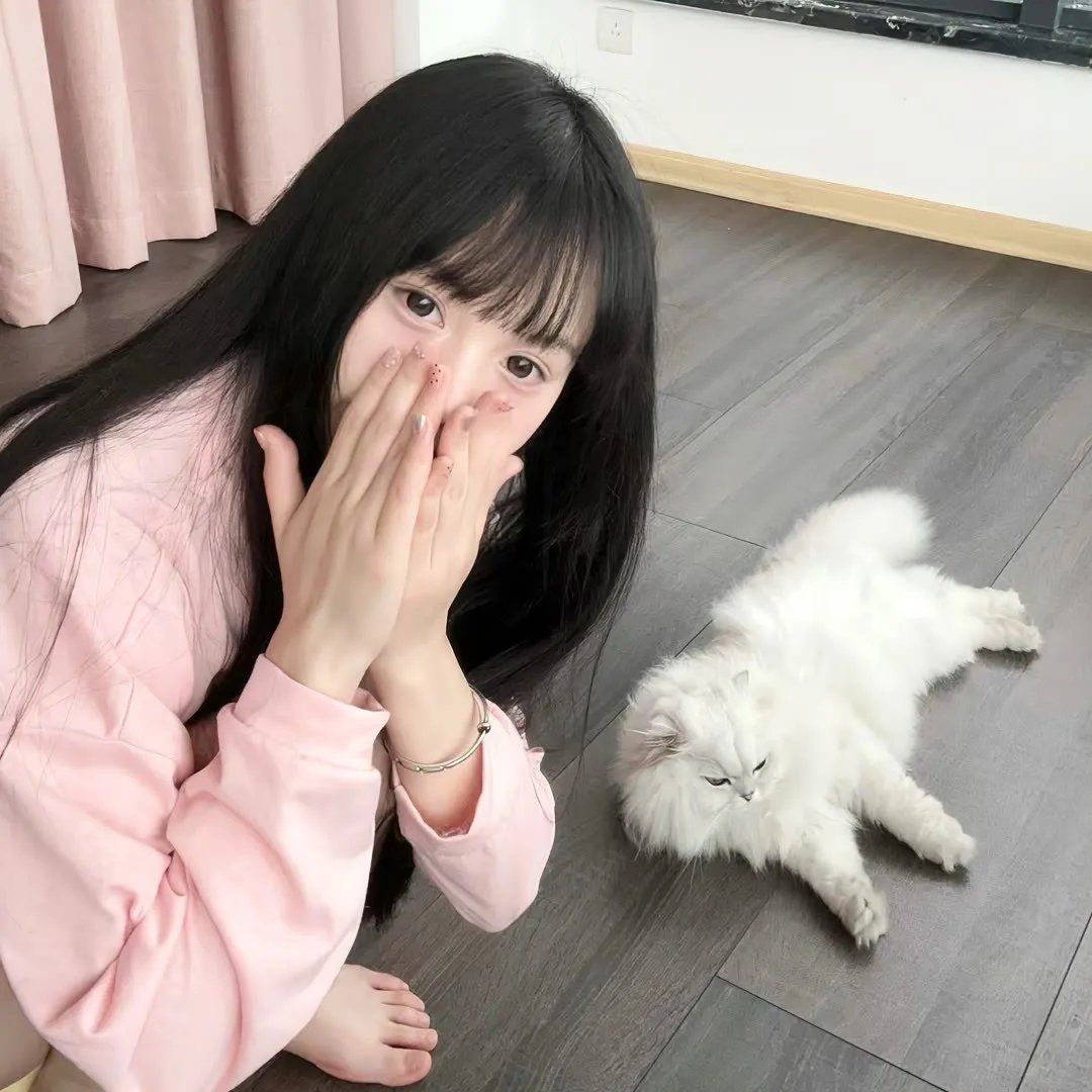 狗不穿裤子